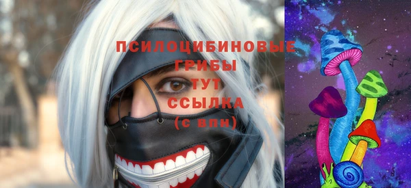 гидропоника Михайловка
