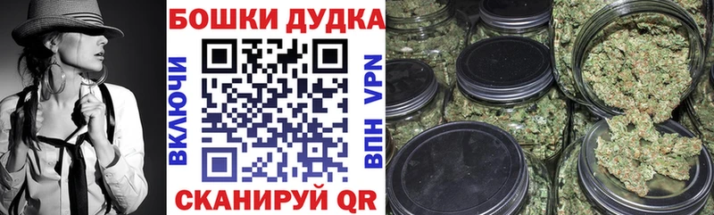 где найти наркотики  Печоры  МАРИХУАНА SATIVA & INDICA 